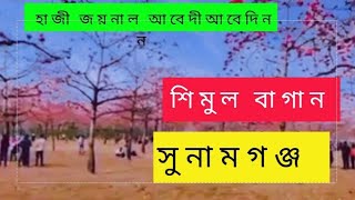 জয়নাল আবেদী শিমুল বাগান।Joynal abedin shimul Bagan