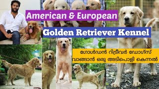 Golden Retriever| വിനീതിന്റെ ഗോൾഡൻ റിട്രീവർ കെന്നൽ |Golden Retriever kennel| Dogs Malayalam