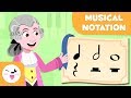 Musical Notation - Learning Music for Kids - The quarter note, the half note and the whole note