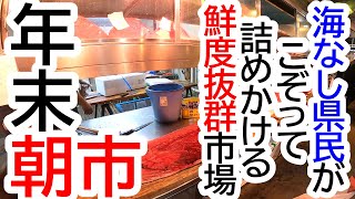 ３年連続！今年も県南市場で年末の買い出しへ！新鮮マグロにコスパ最強のお弁当！毎年来るワケがここにはあります！栃木県南市場【2024活動報告】