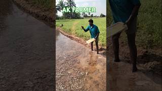 விவசாயி என்பவன் ஒரு உற்பத்தியாளர் #shortsfeed #agriculture #trandingshorts #vivasayi #vivasayam