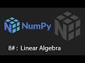 Python Numpy Tutorial - 8 - Linear Algebra