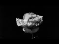 The Marías - No One Noticed (Lyrics)