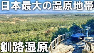 【釧路観光】迫力が凄すぎる！北海道・釧路湿原探勝記