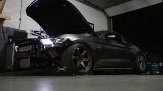 TF Mustang Dyno Pull with Procharger Stage 2