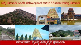 Amaragiri Malekallu Tirupathi, Arsikere | ಅಮರಗಿರಿ ಮಾಲೇಕಲ್ಲು ತಿರುಪತಿ, ದೇಗುಲ ದರ್ಶನ |  #malekaltirupati