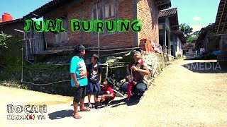 JUAL BURUNG | BOCAH NGAPA(K) YA (27/04/19)