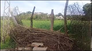 | Barnala Bhimber AJK | BEAUTY OF KASHMIR | VILLAGE LIFE| Garh Aja pardesi|