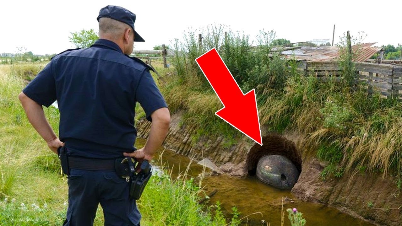 This Farmer Found A Giant Egg! What Was Inside Was Striking! - YouTube