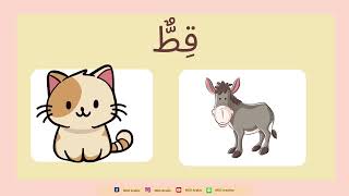 NDO Arabic เกมทายคำศัพท์ภาษาอาหรับ Ep. 1 #wordquiz #arabic #เทคนิคจำศัพท์