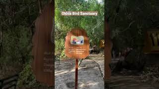 Okhla Bird Sanctuary | delhiian