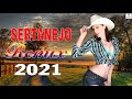 Sertanejo Mix 2021 - As Melhores Do Sertanejo 2021 - Melhores Do Sertanejo Universitário