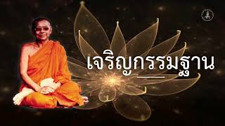 งานบำเพ็ญกุศลครบรอบ ๒ ปี แห่งการมรณภาพ พระเดชพระคุณพระราชภาวนาโกศล (อนันต์ พทฺธญาโณ) วันที่ ๙ ก.พ ๖๓