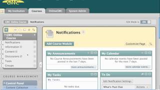 BbLearn: Course Menu Overview