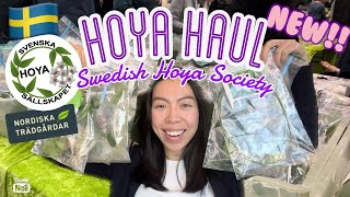 💚 NEW HOYAS!! | Hoya Haul | Swedish Hoya Society spring 2023 | Nordiska Trädgårdar