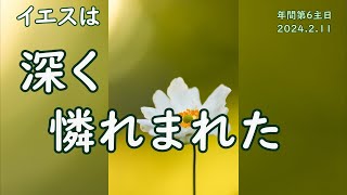 カトリック✝️年間第６主日（2024.2.11　B年）＋ベルナルド神父様のお説教