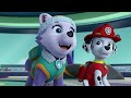 do you know the paw patrol song w chase u0026 skye nick jr. music