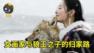 中国女孩养大了一只狼，在海拔3800米送它重返狼群！ 《重返·狼群》| 看电影了没