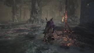 Dark Souls III - Farron Keep  夢追い人の遺灰、Dreamchaser's Ashes