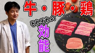 みんな大好きお肉♪牛豚鶏どの肉が体にいい？　フーフー君の養生訓第113話