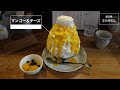 【東京かき氷 1】オススメかき氷店6選 都心編 shaved ice shop in tokyo 도쿄의 빙수 가게