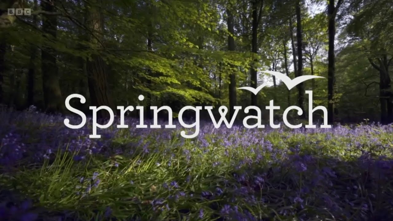 Springwatch Theme Youtube