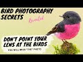 Don't Point Your Lens At The Birds! You will miss the photo of a lifetime! Bird Photography Secrets