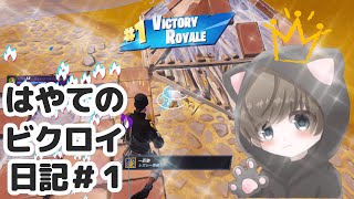 🏆✨はやてのビクロイ日記#１（Long ver）【フォートナイト / FORTNITE Victory Royale Diary】