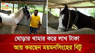 ঘোড়ার খামার করে সফল  বিটু,৩ থেকে ৬ লাখ টাকা বিক্রি হয় একেকটি ঘোড়া | Nagorik TV Special