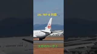 JAL787-8 到着#伊丹空港