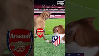 Nỗi khiếp sợ của thành Madrid #trollbongda #shorts