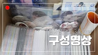 [구성] 비투비 비공굿 현아님 택포 3.2 랜박 구성영상