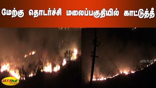 மேற்கு தொடர்ச்சி மலைப்பகுதியில் காட்டுத்தீ-தீயை அணைக்‍க போராடும் தீயணைப்புத்துறை | Thenkasi | Fire