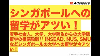 【シンガポールへの留学がアツい！】若手社会人、大学、大学院生からの大学院留学の相談殺到‼️ INSEAD, NUS, SMUなどシンガポールの大学受験はアルファに相談！