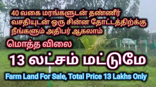 13 லட்சம் மட்டுமே/Low Budget Farm Land For Sale/Ragav Media Real Estate Properties