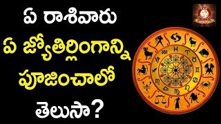 ఏ రాశివారు ఏ జ్యోతిర్లింగాన్ని పూజించాలో తెలుసా? | TFC Spiritual