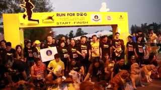 บรรยากาศกิจกรรม Run For Dog วิ่งเพื่อน้องหมากับเพดดิกรี®