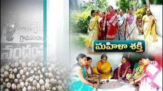 DWCRA Women of Nandampudi | Earning Pocketful Income | with Raw and Dry Betel Nut