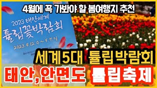 경치는 당연, 인생샷은 덤 봄꽃내음이 가득 태안튤립축제 태안세계튤립꽃박람회 코리아플라워파크 태안가볼만한곳 4월여행지추천