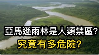 亞馬遜雨林為什麼是人類禁區？究竟有多危險？