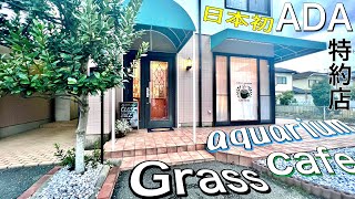 【訪問動画】アクアリウムカフェとは？カフェとしては日本初のADA特約店“Cafe Grass”様 #87