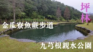 享受山林靜謐時光∥坪林九芎根親水公園＆金瓜寮魚蕨步道