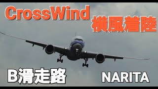 ✈✈RJAA成田空港 壮絶強風横風着陸” 蟹も驚く 横風斜め着陸 ウインドシア” wind shear Crosswind landing Narita RWY34R