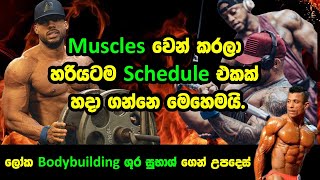 Workout Schedule එකක් නිවැරදි විදියට Muscles වෙන් කරලා  හදාගන්න හැටි ලෝක ශූර සුභාශ්ගෙන් ඉගෙන ගන්න