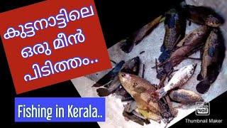 Fishing in Kerala | കുട്ടനാട്ടിലെ ഒരു മീൻ പിടിത്തം