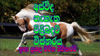 ප්‍රභලයන් බිහිකරන අස්විද නැකත | asvida nekatha