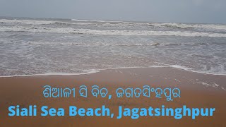 Siali Sea Beach, Sahadabedi, Jagatsinghpur / ଶିଆଳୀ ସି ବିଚ, ଜଗତସିଂହପୁର