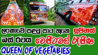 වෙජිටබල් රැජිණ | queen of vegetables | ලංකාවේ පළමු පාට තුනෙ ලුමිනස් බස් රථය