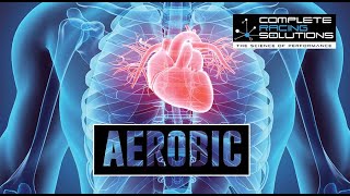 What is the Difference Between Aerobic vs Anaerobic?   Coach Robb Beams