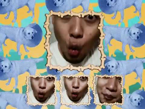 Dog Youtube